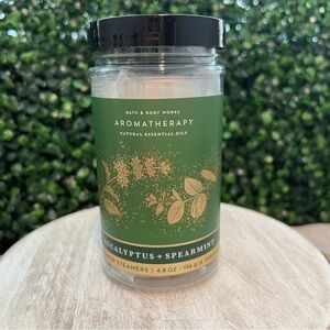Bath & Body Works | Aromatherapy | Eucalyptus Spearmint | Shower Steamers | New